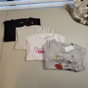 Lot Of 4 Toughskins Girls' Long Sleeve T-shirts bundle  Size 3T